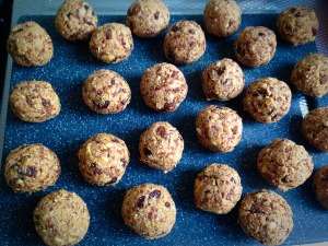 Simply Nutritious Oat and Date Bites